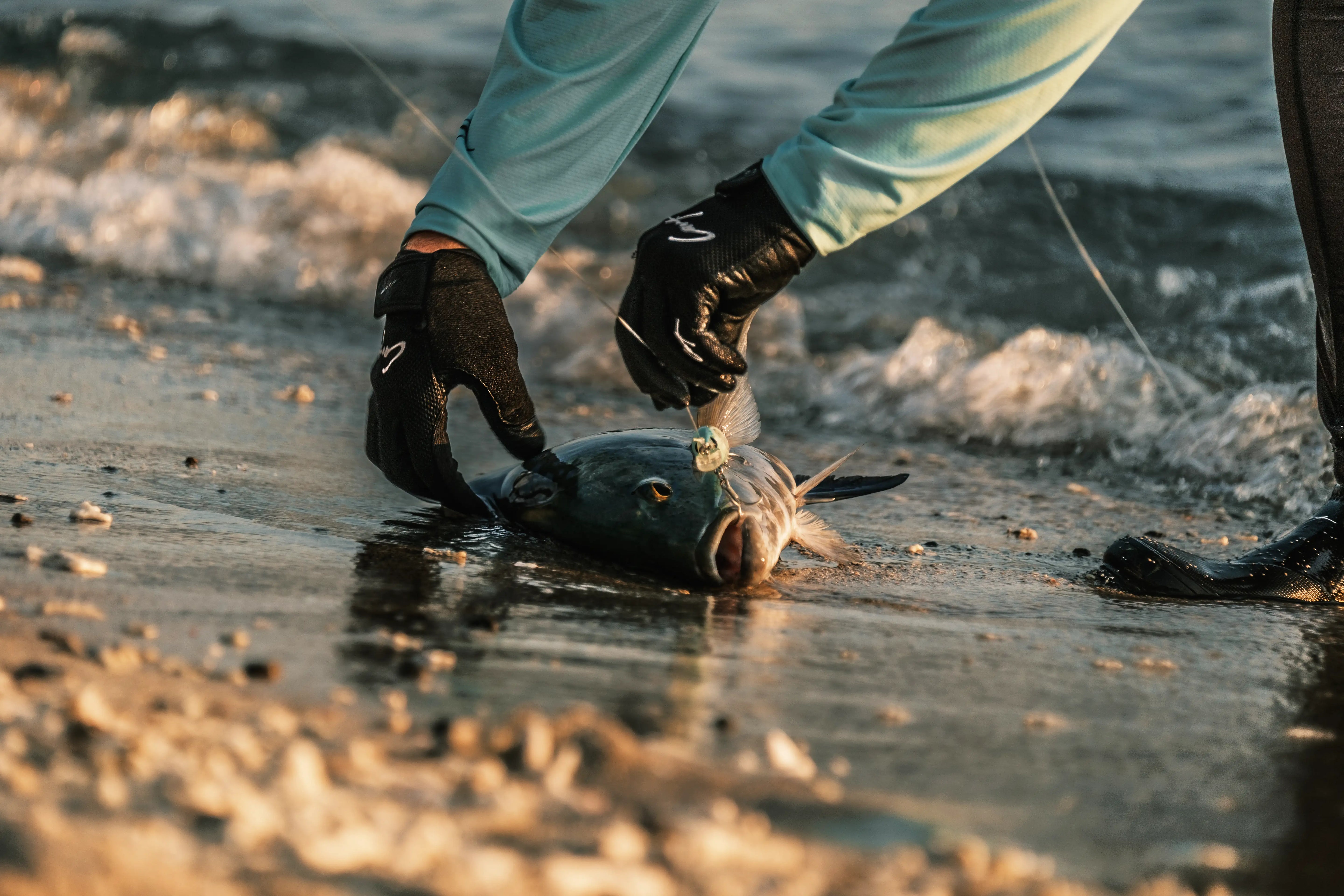 Angler wearing Cavy Fishing gloves handling a GT fish on the beach, showing protective fishing gear designed for saltwater use and strong grip.