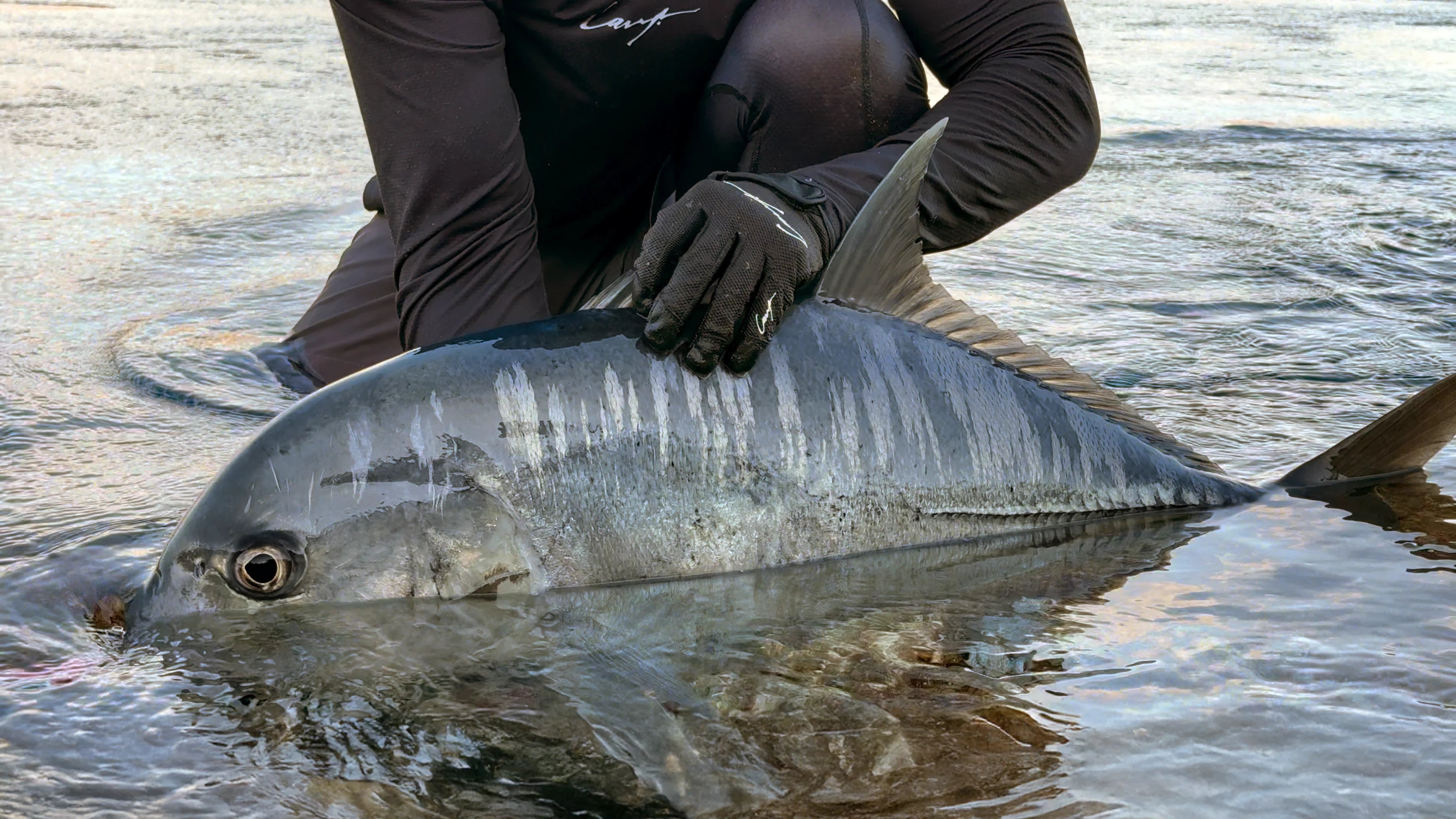 How I Find My GT Fishing Spots – Location is Key!