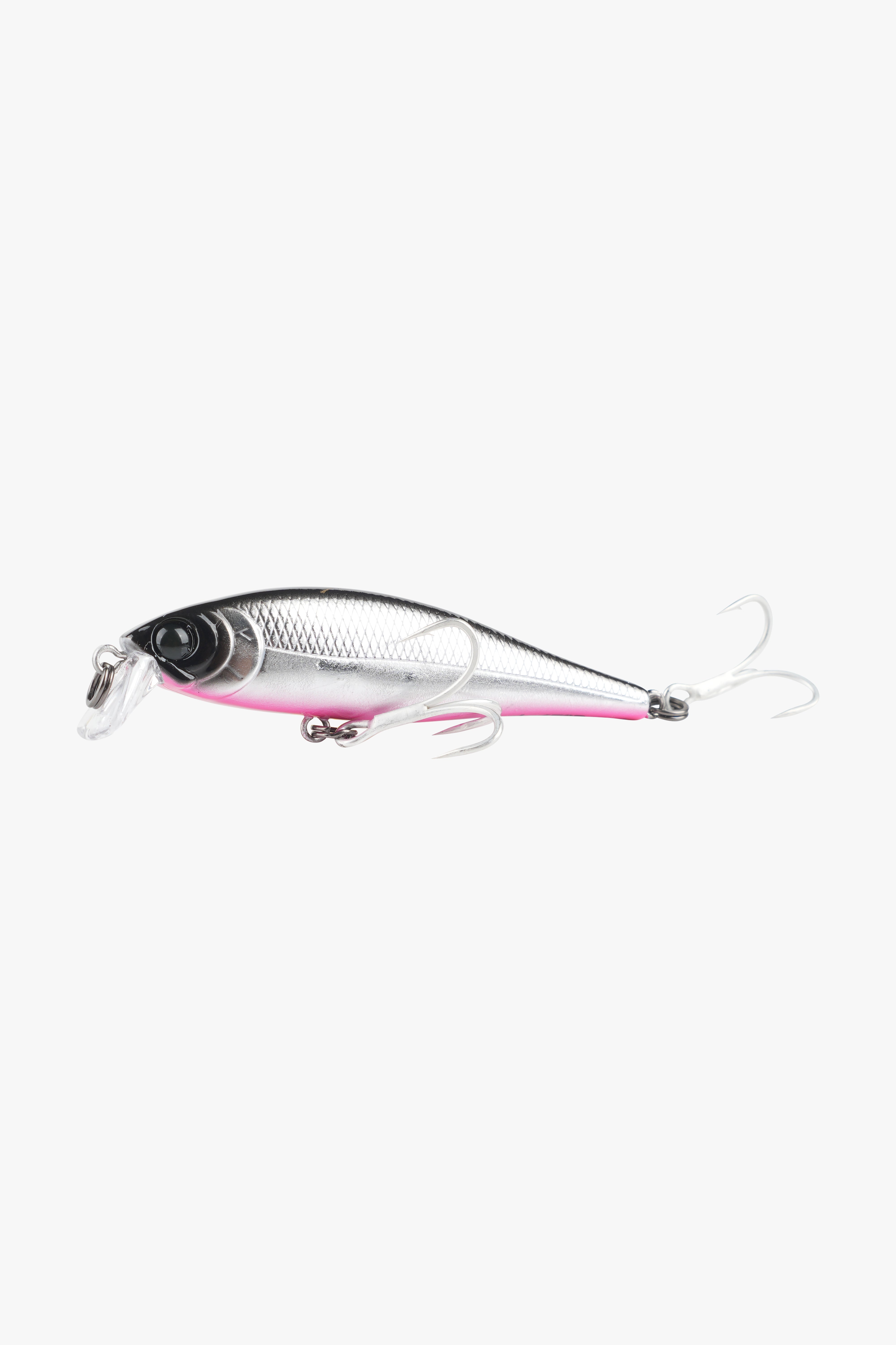 ⑫ 廃盤Cavy lure Minnow 40F CAVY FISHING TACKLE SHOP