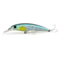 Cavy X Salty Passion Minnow