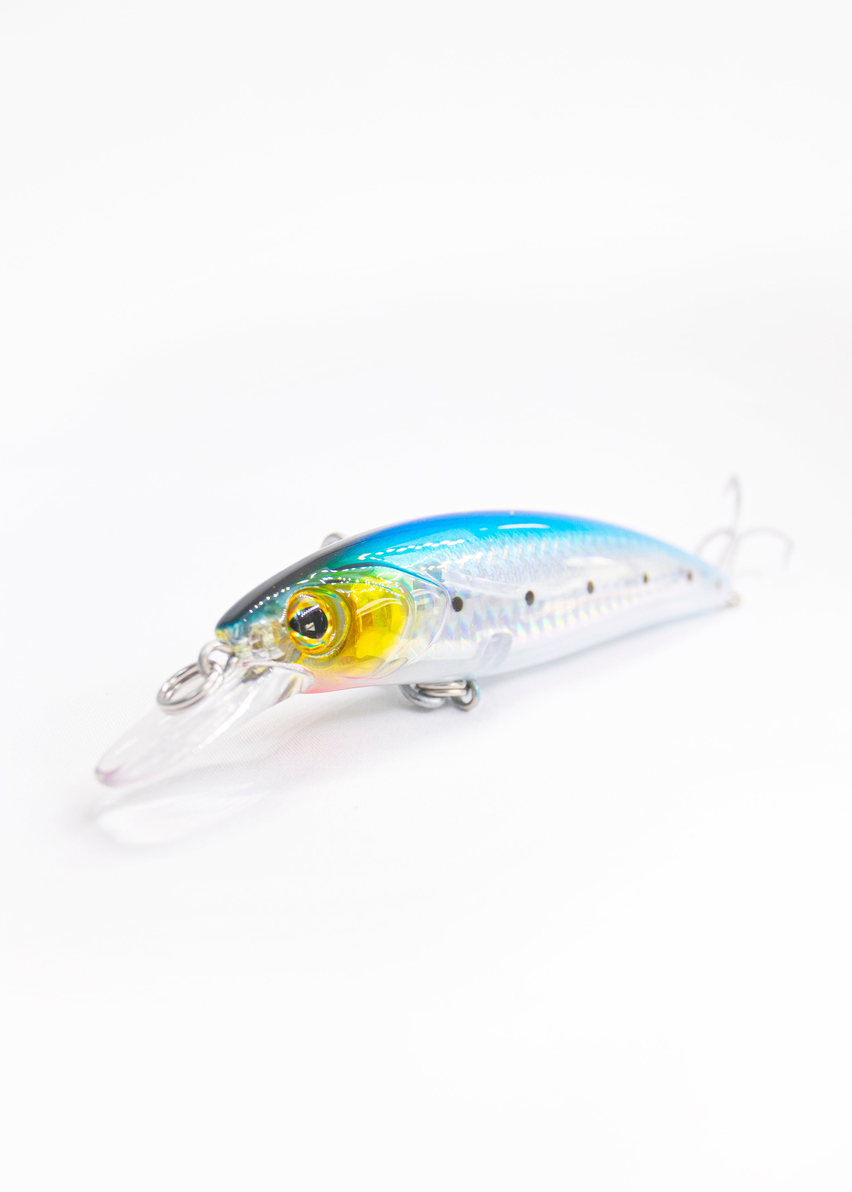 Salty Passion Minnow 115F – CAVY FISHING