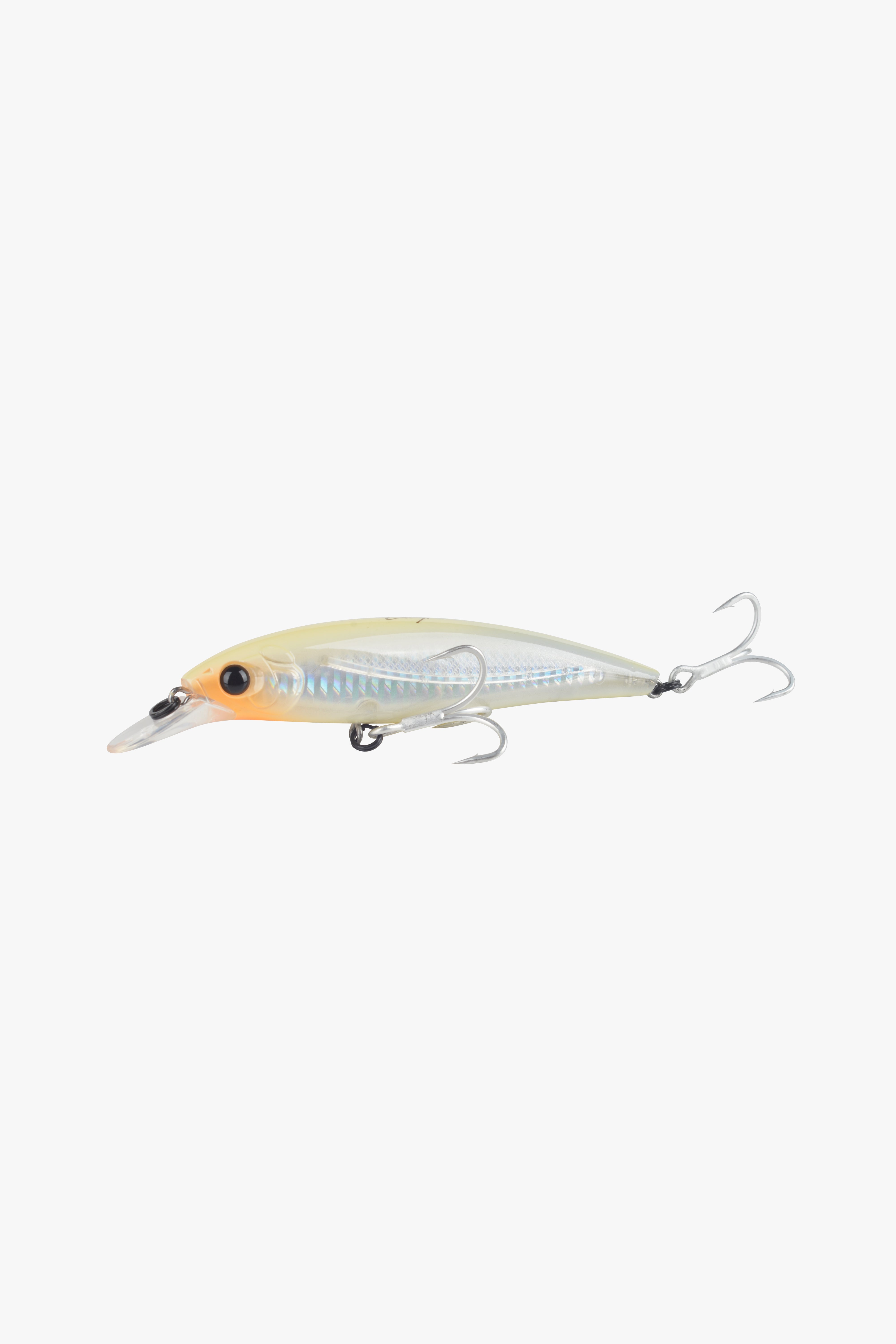Premium Edition Salty Passion Minnow 115F – CAVY FISHING