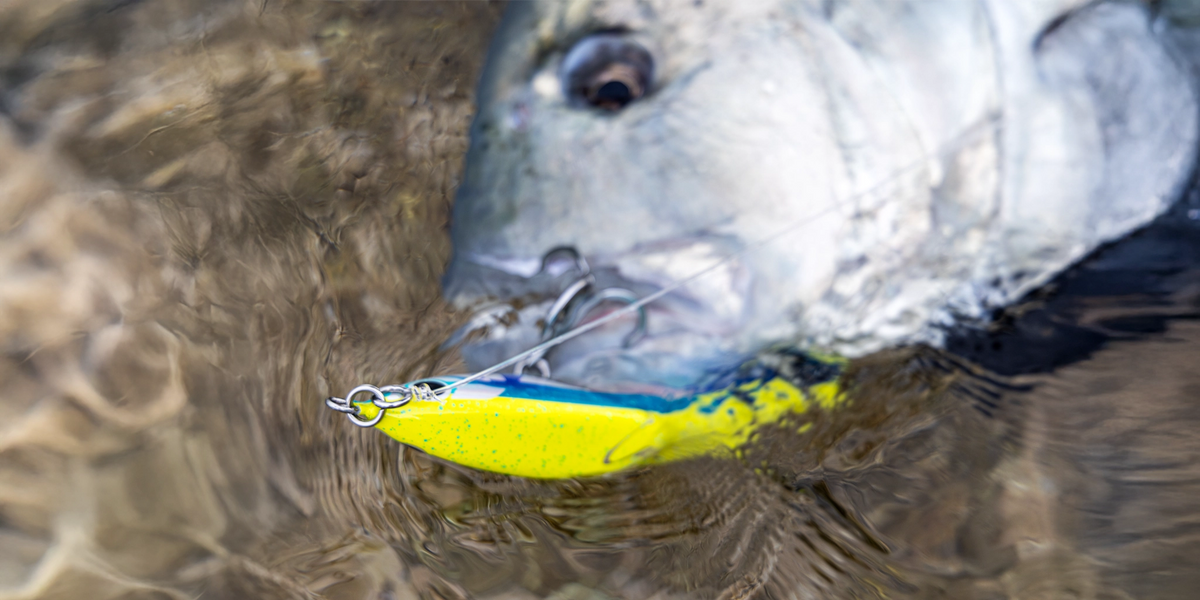 Terminal Rigs Terminal Tackle – Hooks, Swivels & Rigs for Saltwater | Cavy Fishing ...