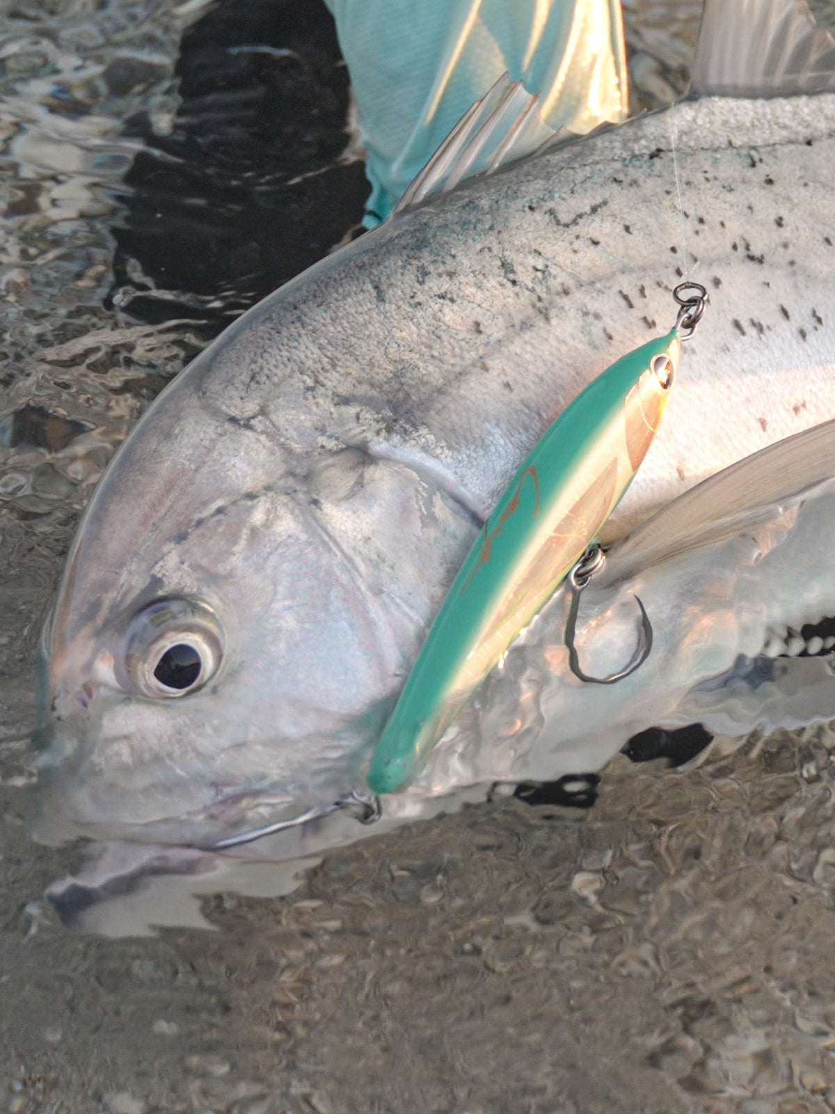 Current Killer Stickbait Sale