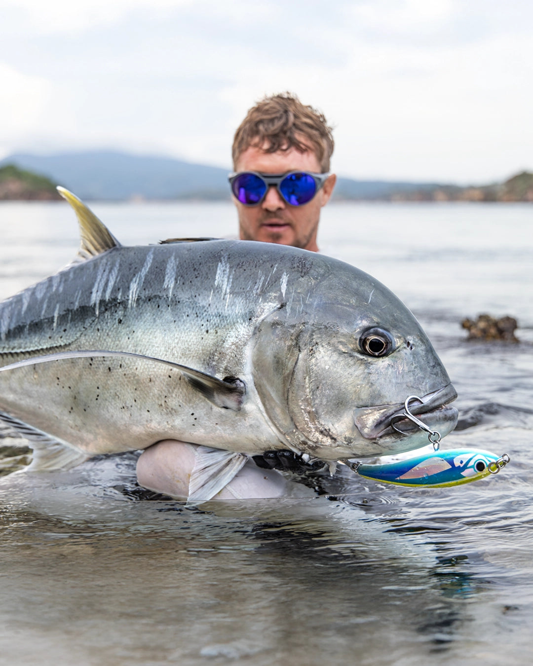 CURRENT KILLER SERIES