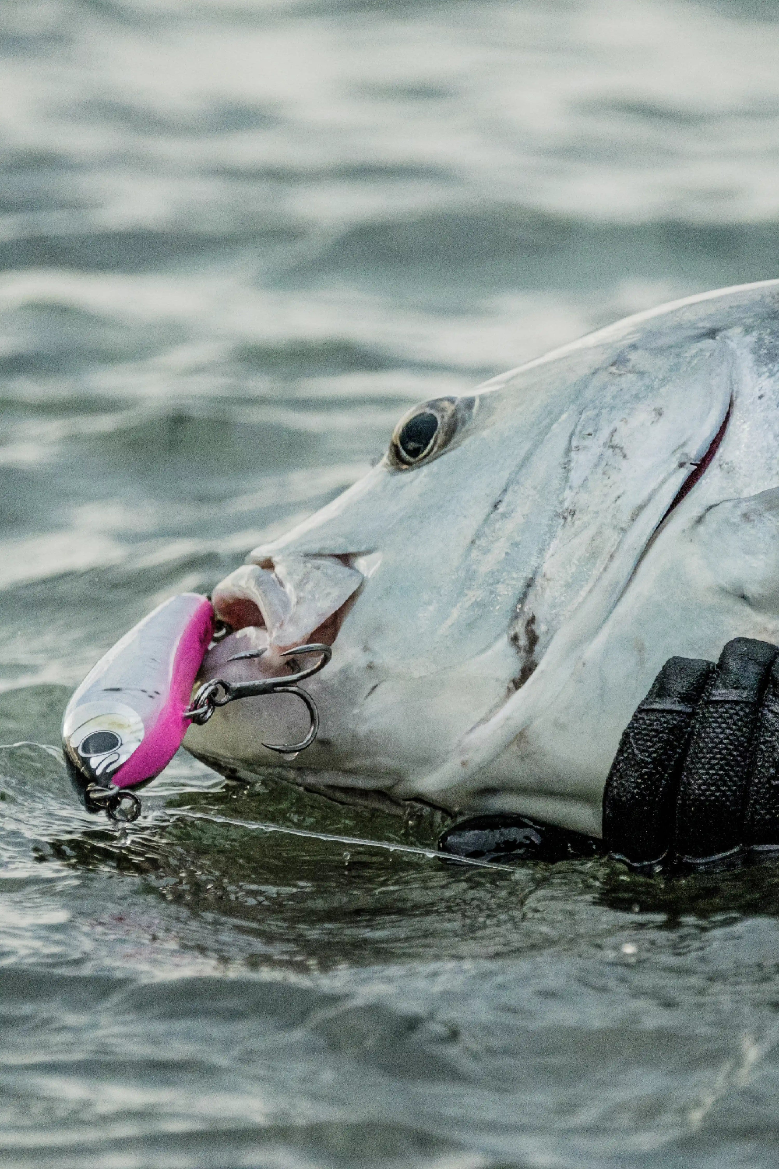 Ripple Floating Stickbait