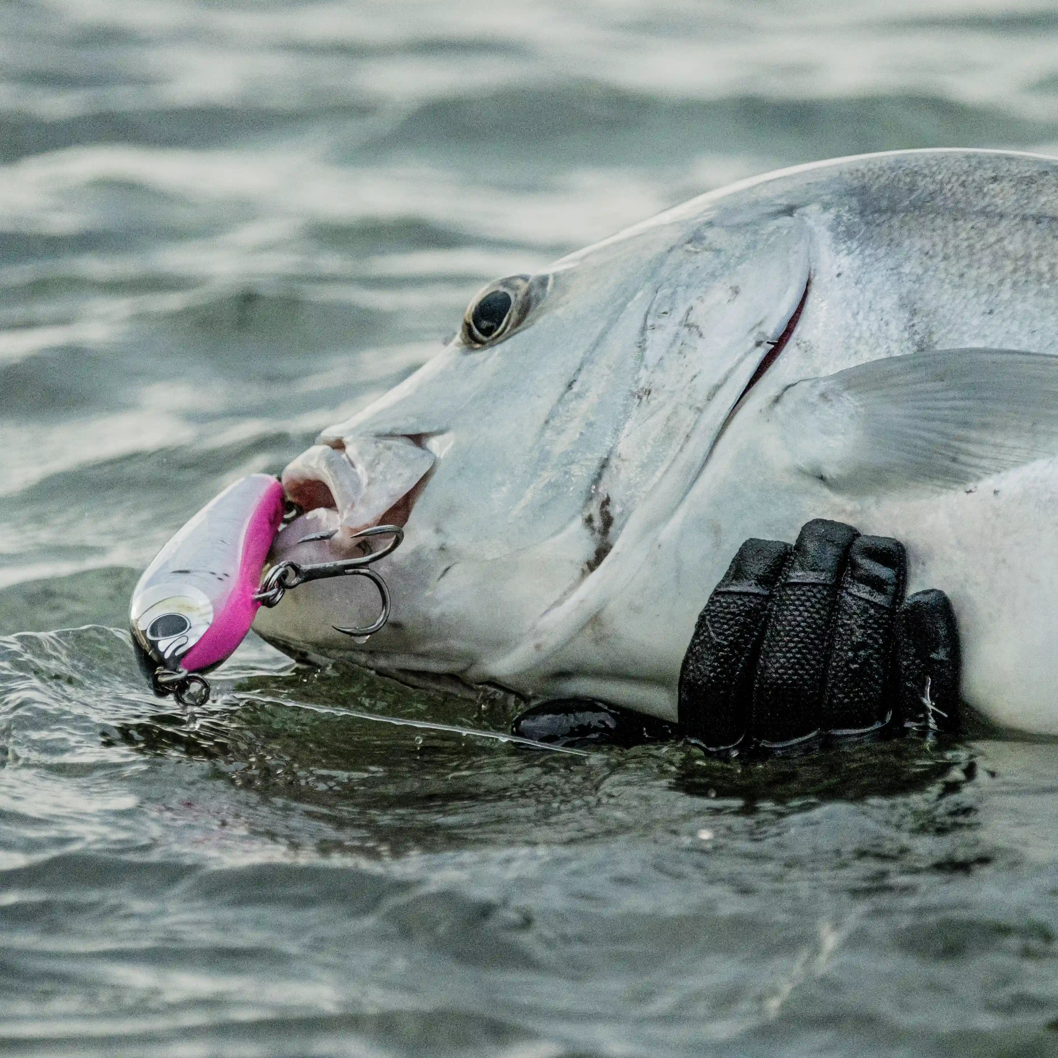 Cavy Fishing terminal tackle – hooks, leaders, and rigs designed for saltwater anglers